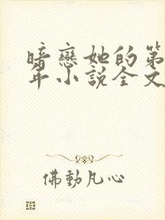 暗恋她的第十一年小说全文封面