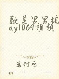 欧美男男搞基gay1069视频