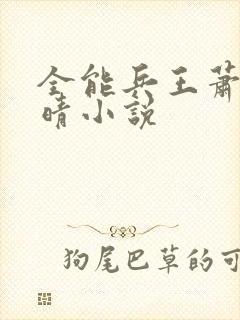 全能兵王萧晨苏晴小说