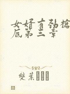 女婿有劲枪枪到底第三章