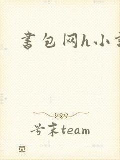 书包网h小说