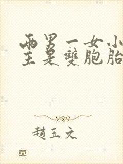 两男一女小说男主是双胞胎