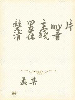 双男主mv片高清在线看