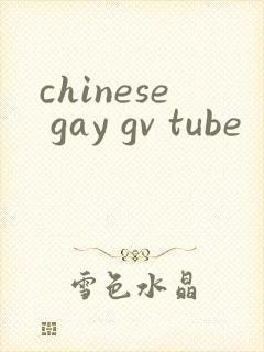 chinese gay gv tube封面
