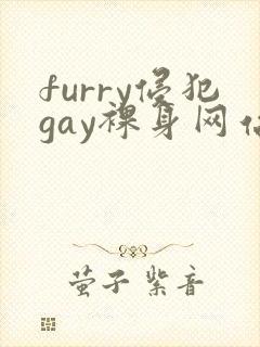 furry侵犯gay裸身网站ch