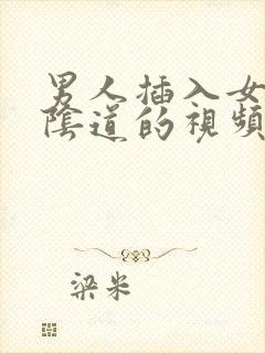 男人插入女人的阴道的视频