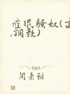 催眠骚奴(高h,调教)