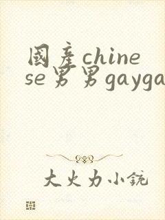 国产chinese男男gaygay网站