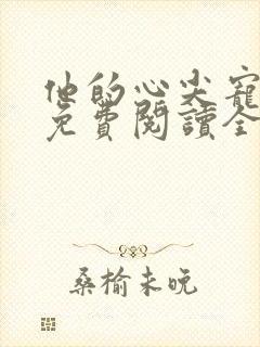 他的心尖宠全文免费阅读全文封面