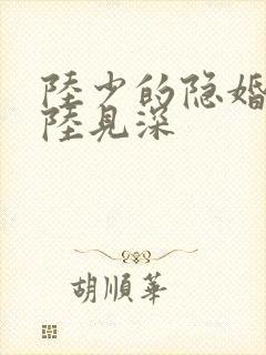 陆少的隐婚罪妻陆见深