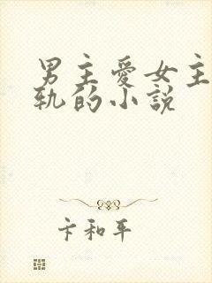 男主爱女主却出轨的小说