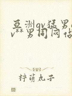亚洲gv猛男gv**男同网站