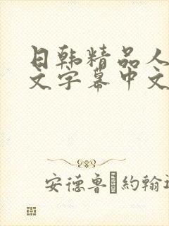 日韩精品人妻中文字幕中文