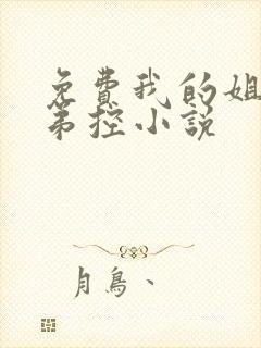 免费我的姐姐很弟控小说