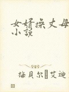 女婿操丈母娘逼小说