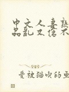 中文人妻熟妇精品乱又伧不卡