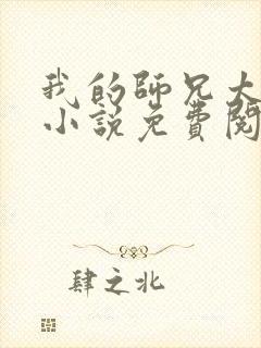 我的师兄太稳健小说免费阅读