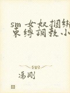 sm 女奴捆绑束缚调教小说封面