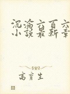 沉沦六百六十六小说最新章节更新