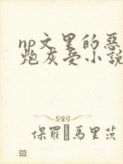 np文里的恶毒炮灰受小说