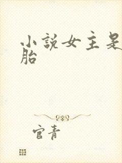 小说女主是双胞胎封面