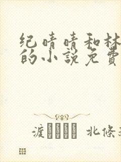 纪晴晴和林逸飞的小说免费阅读封面