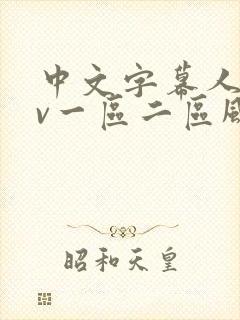 中文字幕人妻av一区二区风险封面