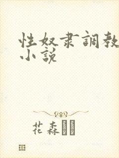 性奴隶调教公司小说