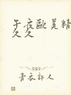 午夜欧美精品久久久封面