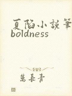 夏陷小说笔趣阁boldness