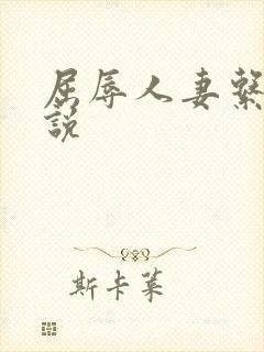 屈辱人妻系列小说封面