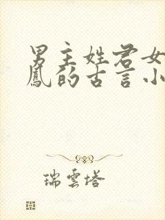 男主姓君女主姓凤的古言小说封面