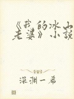 《我的冰山总裁老婆》小说