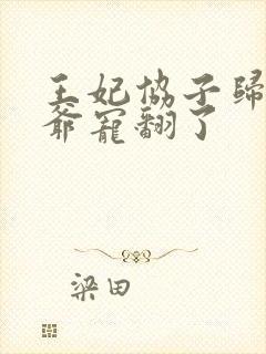 王妃协子归来王爷宠翻了