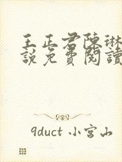 王正君陈琳洁小说免费阅读全文