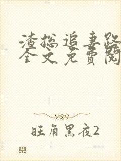 渣总追妻路漫漫全文免费阅读封面