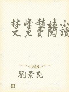 林峰赵姨小说全文免费阅读