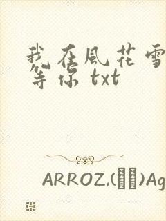 我在风花雪月里等你 txt封面