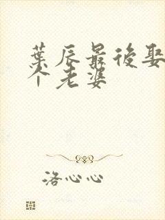 叶辰最后娶了5个老婆