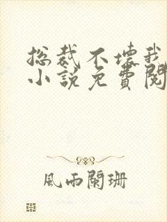 总裁不坏我不爱小说免费阅读