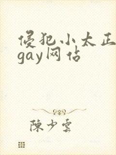 侵犯小太正裸体gay网站