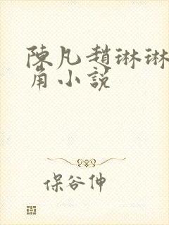 陈凡赵琳琳的主角小说