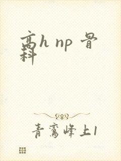 高h np 骨科