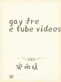 gay free tube videos封面