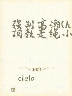 强制高潮(h)调教走绳小说