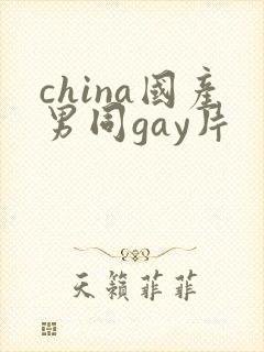 china国产男同gay片