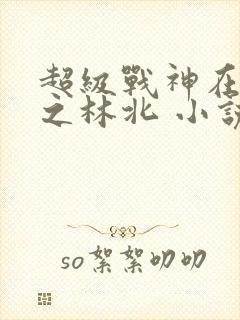 超级战神在都市之林北 小说
