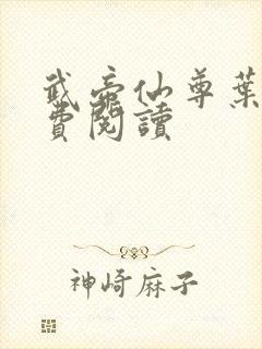 武帝仙尊叶辰免费阅读