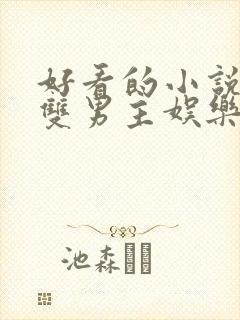 好看的小说推荐双男主娱乐圈