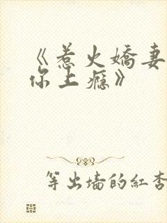 《惹火娇妻,宠你上瘾》